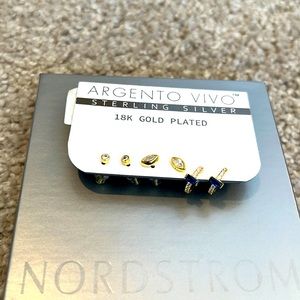 argento vivo earrings set